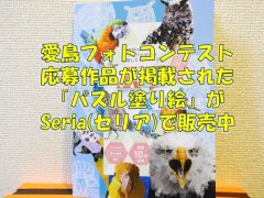 １００円ショップのセリア(Seria)のパズル塗り絵を入手・ゲット