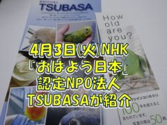 NHK「おはよう日本」で認定NPO法人TSUBASAが紹介！長寿のオウムとの向き合い方