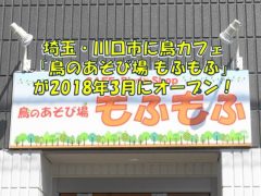 埼玉・川口(JR蕨駅)に新しい鳥カフェ「鳥の遊び場もふもふ」がオープン！