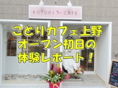 ことりカフェ上野本店のオープン初日の体験レポート
