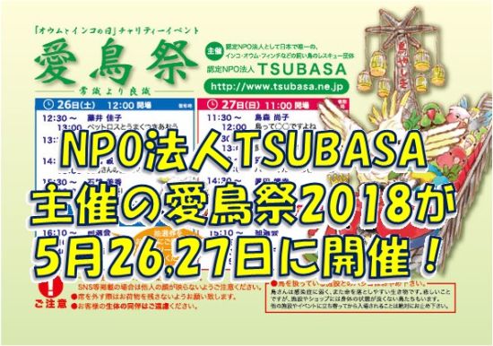 認定NPO法人TSUBASA主催の鳥イベント「愛鳥祭2018」が浅草にて5月26,27日開催