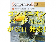 コンパニオンバードNo29が2018年6月11日に発売！