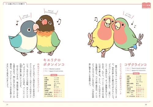 鳥本 Birdstoryのインコの飼い方図鑑が7月6日発売 飼育法をイラストで解説 インコ生活 飼い方 育て方の総合情報サイト