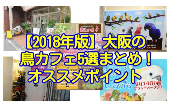 2018年版大阪の鳥カフェ5選まとめ・特徴とオススメポイント、システムを紹介