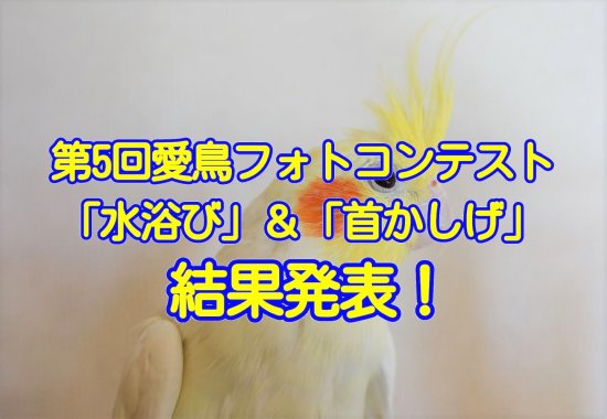 第5回愛鳥フォトコンテスト「水浴び」「首かしげ」の結果発表