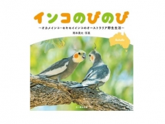 岡本勇太氏の野生のセキセイインコとオカメインコの写真集「インコのびのび」が11月14日に発売！