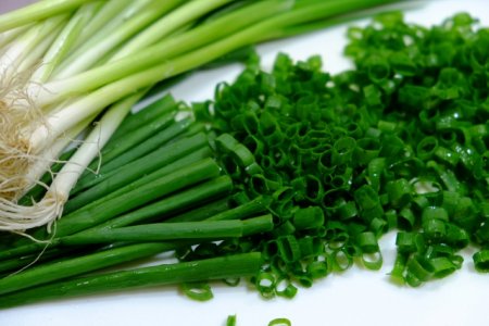 ネギや玉ねぎ ニラなどのネギ類はインコに有害 少量でも中毒症状に要注意 インコ生活 飼い方 育て方の総合情報サイト