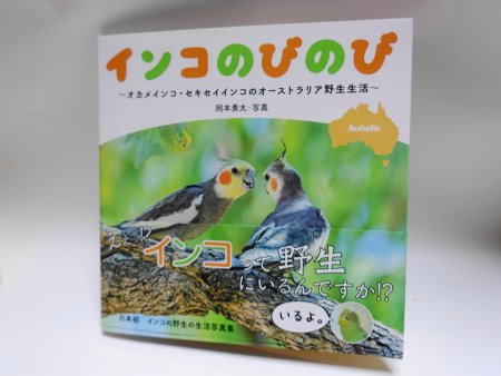 野生のインコ写真家・岡本勇太氏の写真集「インコのびのび」が発売(表紙画像)