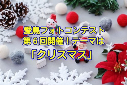 愛鳥フォトコンテスト第６回「クリスマス」