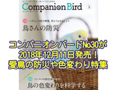 コンパニオンバードNo30が2018年12月11日発売！愛鳥さんの防災や色変わりが特集