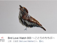 Bird Love Watch 003～ことりのちちぶ～Facebookイベントページより