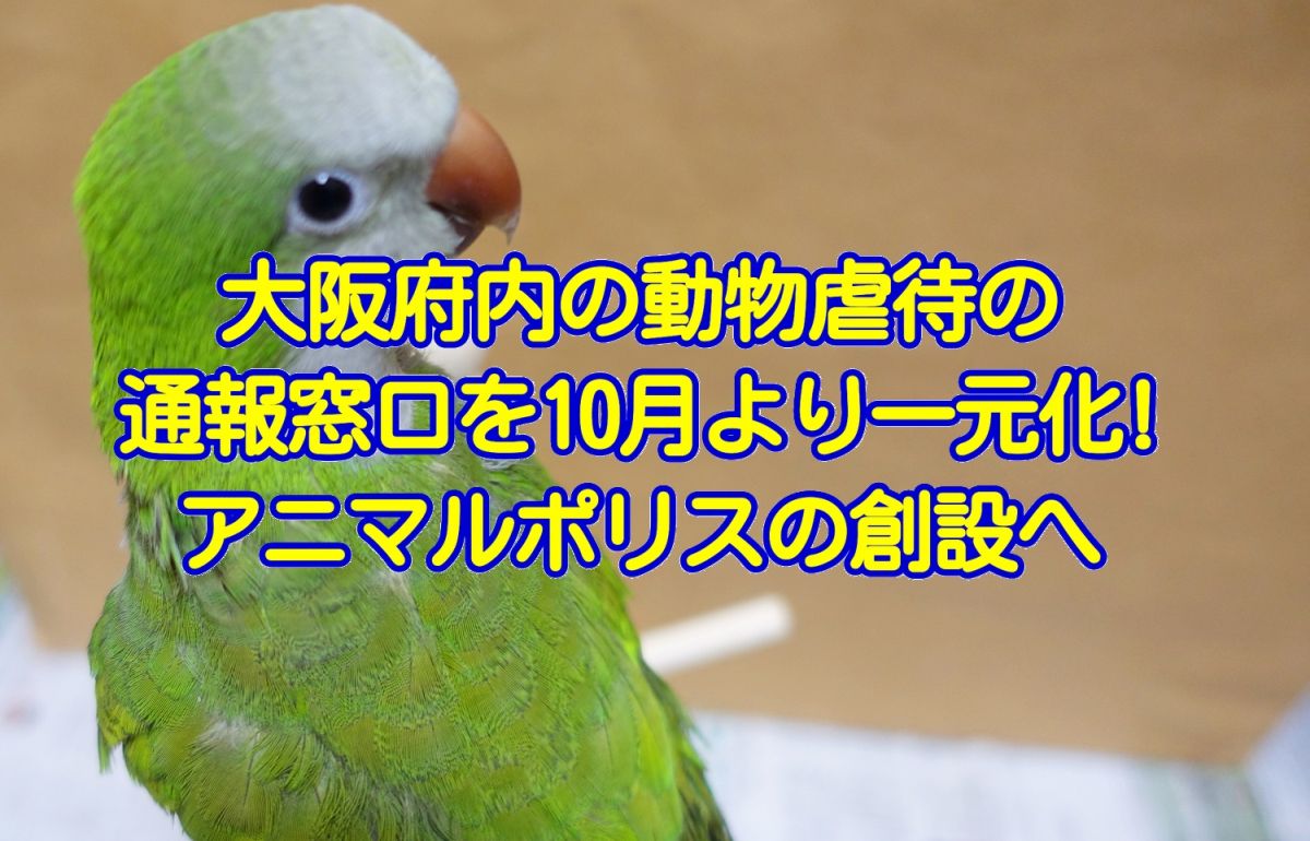 大阪府内の動物虐待の通報窓口を2019年10月より一元化！大阪のアニマルポリス設立へ