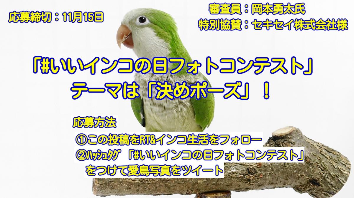 令和初の愛鳥フォトコンテスト「#いいインコの日フォトコンテスト」は、テーマ「決めポーズ」で開催！