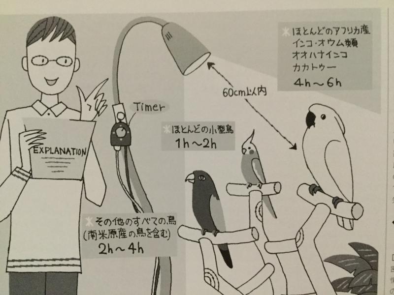 インコ用uvライト 紫外線ライト の選び方 使用法の解説 日光浴できない時の代用に インコ生活 飼い方 育て方の総合情報サイト