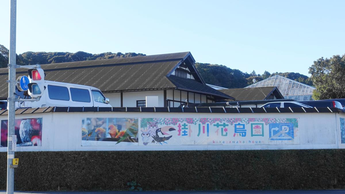 2020年版、掛川花鳥園の体験レポート、ことり万博の日は大盛況