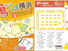 鳥フェス横浜が2020年10/31,11/1に開催！愛鳥家向けセミナーやワークショップも