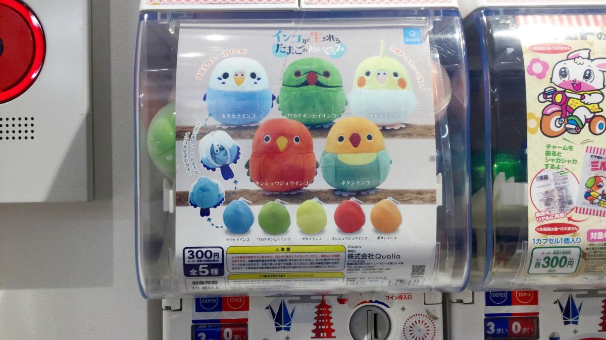 インコが生まれるたまごのぬいぐるみが12 5発売 ワカケホンセイやキンショウジョウインコも インコ生活 飼い方 育て方の総合情報サイト