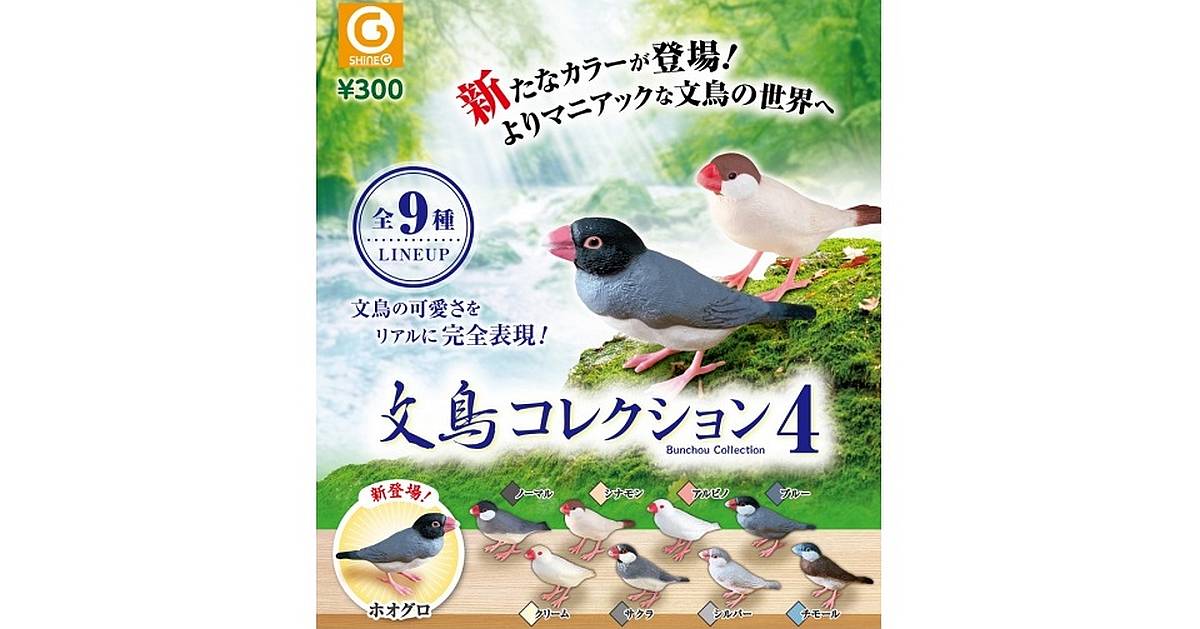 2022年9月にシャイングより発売予定の鳥ガチャ「文鳥コレクション4」には新しい色変わりホオグロが登場
