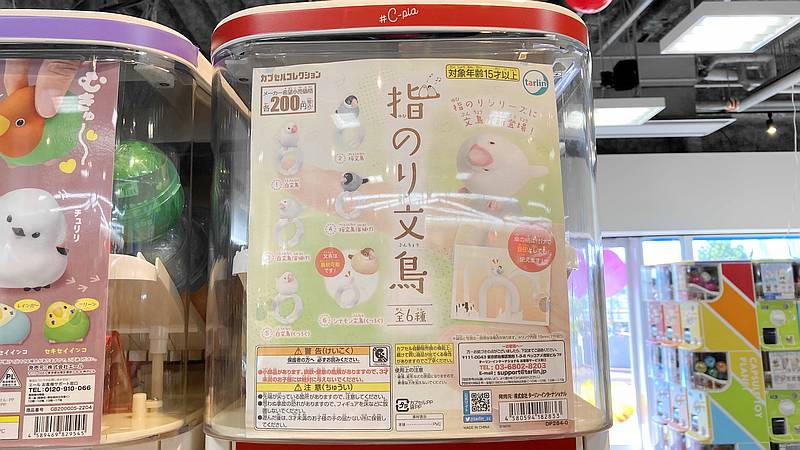 指のり文鳥が発売！桜・白・シナモンの3品種が色んな姿勢で指に乗る文鳥ガチャ | インコ生活〜飼い方・育て方の総合情報サイト