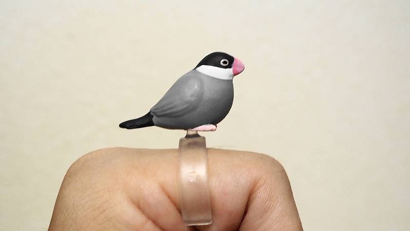 指のり文鳥が発売！桜・白・シナモンの3品種が色んな姿勢で指に乗る文鳥ガチャ | インコ生活〜飼い方・育て方の総合情報サイト