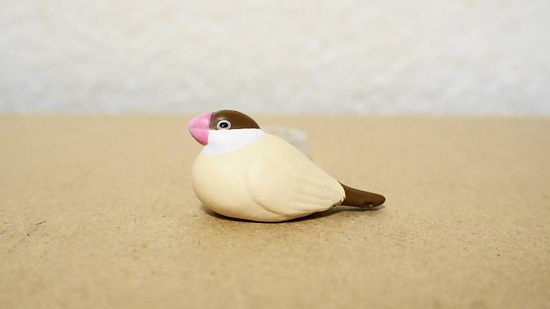 指のり文鳥が発売！桜・白・シナモンの3品種が色んな姿勢で指に乗る文鳥ガチャ | インコ生活〜飼い方・育て方の総合情報サイト