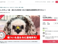 NPO法人・小鳥レスキュー会のクラウドファンディングは2022年8月17日にスタートし、開始3日目で900万円を突破