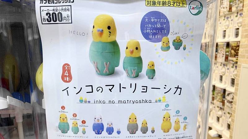 追記】インコのマトリョーシカが9月14日発売！大中小3つにセキセイインコとオカメの鳥ガチャ | インコ生活〜飼い方・育て方の総合情報サイト