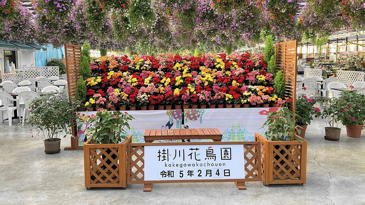 第6回ことり万博2023が開催された日の掛川花鳥園のフォトスポットは令和5年2月4日の日付入り