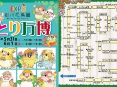 初夏のことり万博が2025年5月31日、6月1日に掛川花鳥園で開催!