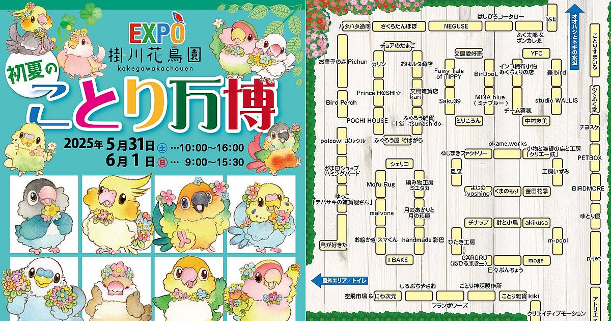 初夏のことり万博が2025年5月31日、6月1日に掛川花鳥園で開催！