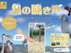 異色の鳥ガチャ「鳥の鳴き声」が10月発売!ハトやカラス、スズメの鳴き声が聞けるガチャ