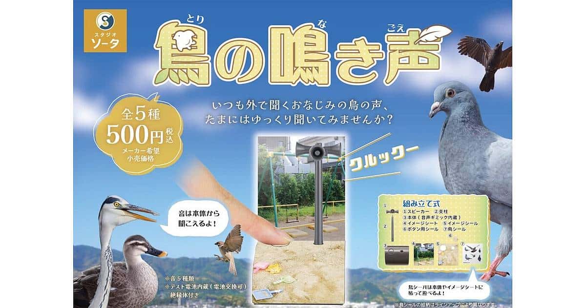 異色の鳥ガチャ「鳥の鳴き声」が10月発売！ハトやカラス、スズメの鳴き声が聞けるガチャ
